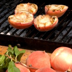 Grilled White Peaches, Creme Fraiche