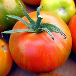 Red Zebra Tomato