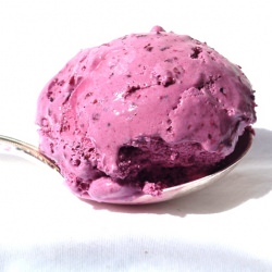 Blueberry Sour Cream Ice Cream