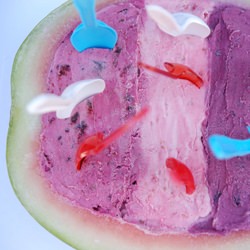 Fruity Sour Cream Ice Cream
