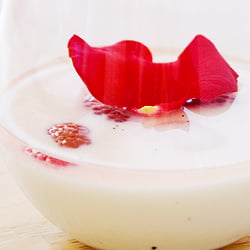 Ispahan Panna Cotta