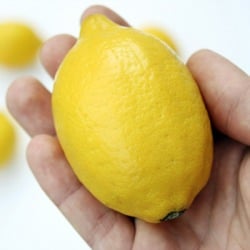 Moroccan Preserved Lemons