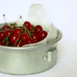 Sour Cherries