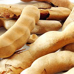 Tamarind Pods