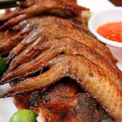 BBQ Chicken Wings