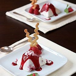 Honey And Raspberry Semifreddo