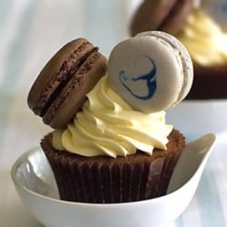 Macaron Cupcake