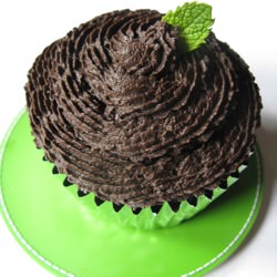 Dark Chocolate Grasshopper Cupcakes