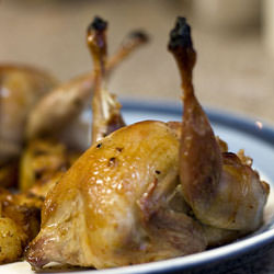 Roast Quail
