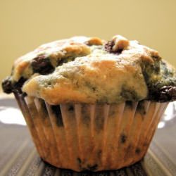 Blueberry Muffins