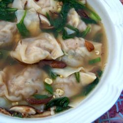 Do You Wonton Some Soup?