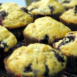 Lemon Blueberry Muffins