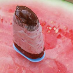 Chocolate-Banded Ice Cream Torte