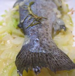 Baked Trout Parcel