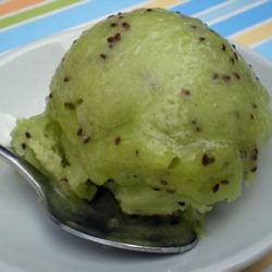 Kiwifruit Sorbet