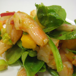 Caribbean Shrimp Salad