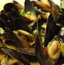 Coconut Curry Mussels