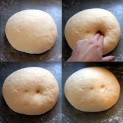Active Sourdough Pushes Back!