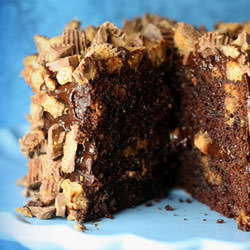 Chocolate Peanut Butter Cup Cake