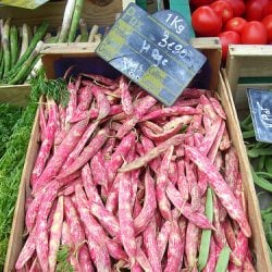 Haricots Coco Rose