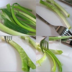 Spring Onions…Tips and Tricks