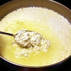 Homemade Ricotta