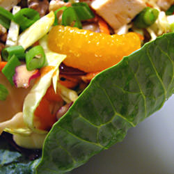 Chinese Chicken Salad
