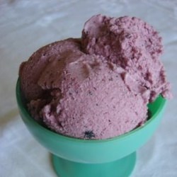 Creamy Blueberry Ice Cream