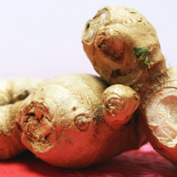 Ten Things to Know About Ginger