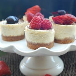 Mini Vanilla Bean Cheesecakes