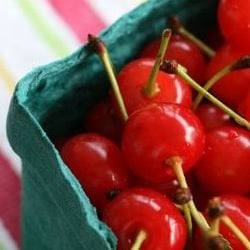 Sour Cherry Frozen Yogurt