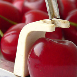 Cherries