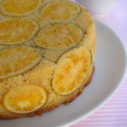 Orange Syrup Cake