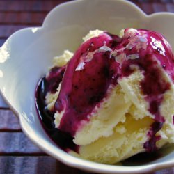 Vanilla Ice Cream with Blueberry Syrup