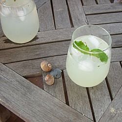 The Summer Sipper