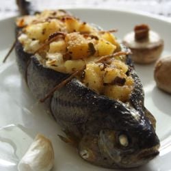 Stuffed Brown Trout