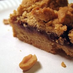 Peanut Butter & Jelly Bars