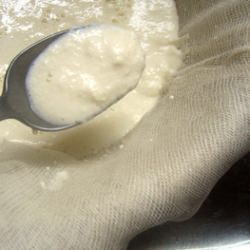 Homemade Ricotta Cheese
