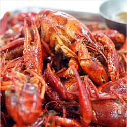 Crawfish