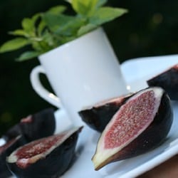 Fresh Figs