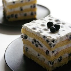 Blueberry & Yogurt Torte