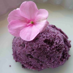 Vegan Blueberry Ice Cream