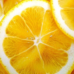 Meyer Lemon