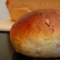Honey & Seed Bread