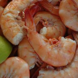 Prawns