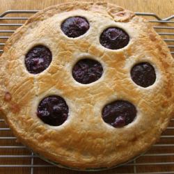 Blueberry Pie