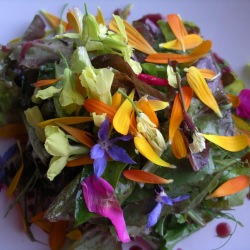 Salad with Edible Blossoms