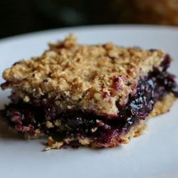 Blueberry Oat Bars