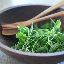 Watercress Salad