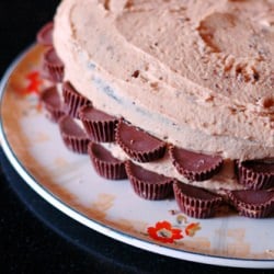 Vegan Chocolate Peanut Butter Cake